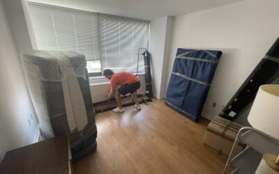 Reasons You Should Hire a Moving Company